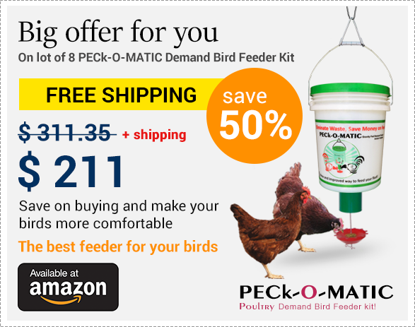 Peckomatic One Feeder Funnel