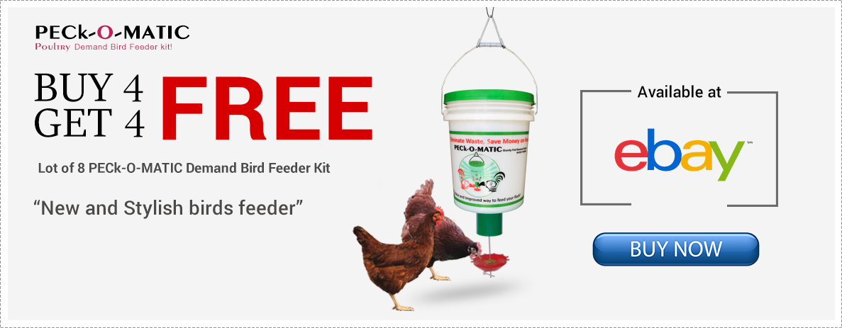 Peckomatic One Feeder Funnel