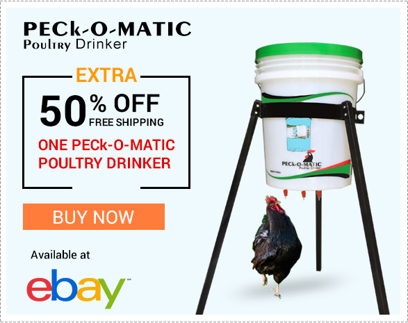 Peckomatic One Feeder Funnel