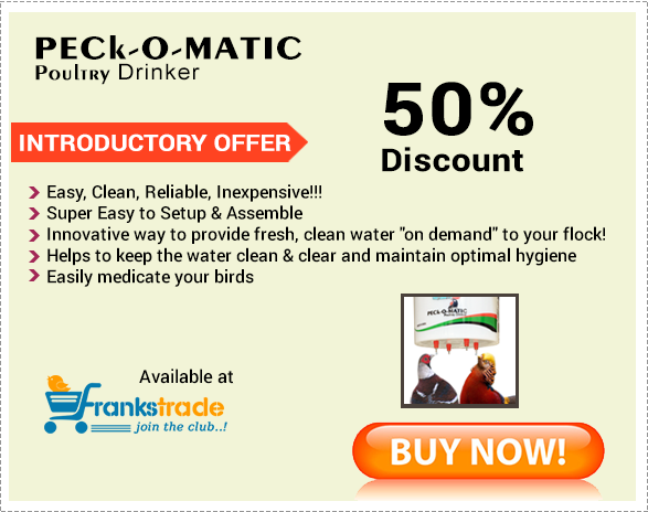 Peckomatic One Feeder Funnel