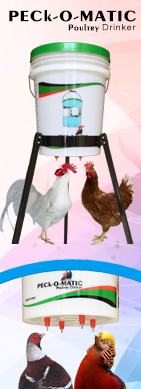 PECk-O-MATIC Tripod 5-Gallon Pail Stand for Both Peckomatic Bird Feeder and  Poultry Drinker