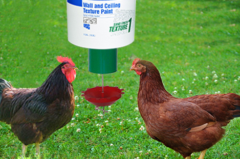 rhode-island-red-automatic-chicken-feeder